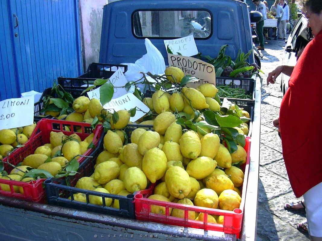 Corricella 042.JPG
